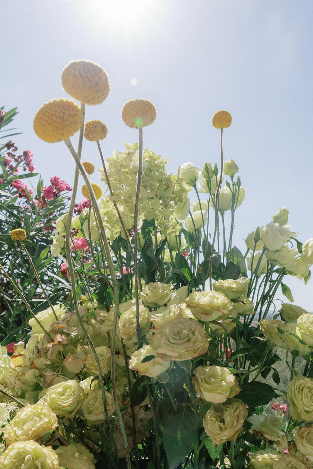 Table Flowers Organic Pretty Greenery Yellow Flowers Finca Serena Mallorca Wedding Pablo Laguia