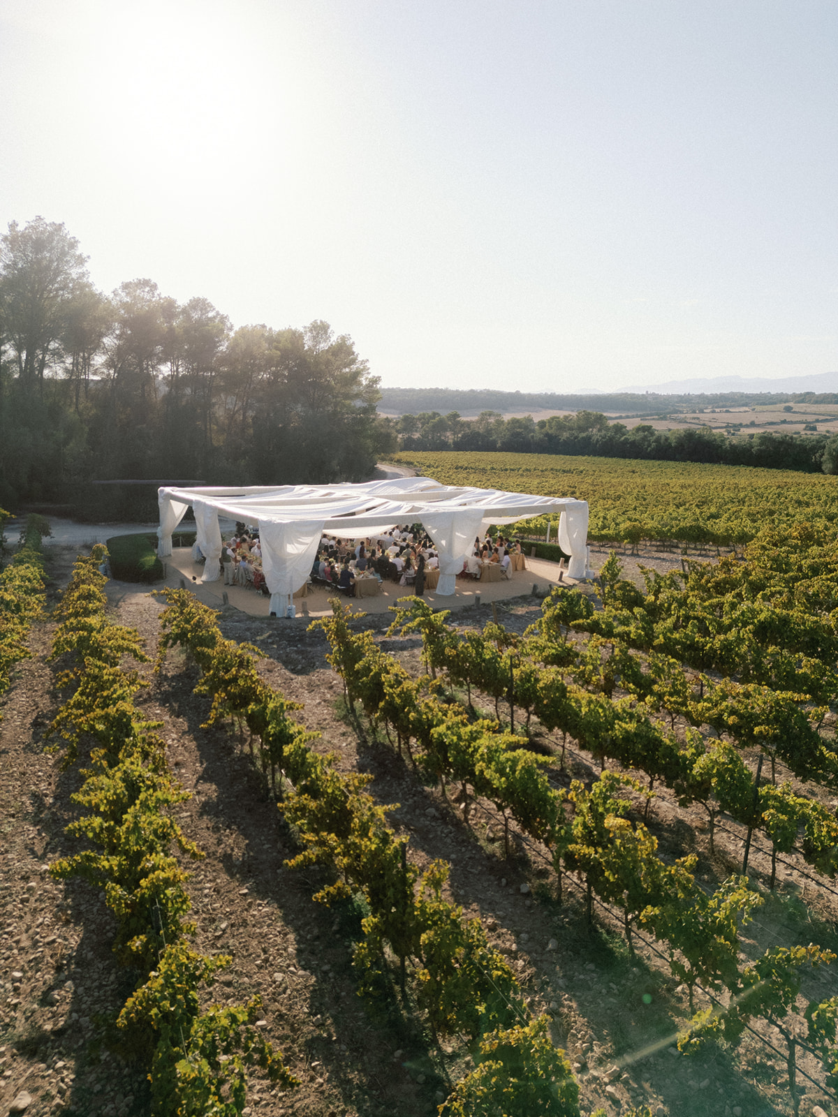 Vineyard Marquee Tent Reception Finca Serena Mallorca Wedding Pablo Laguia