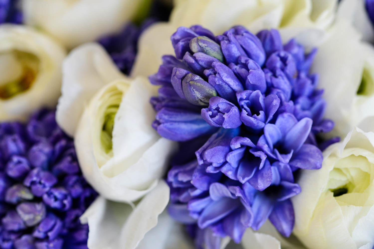 Paula Rooney Floral Design | Spotlight | The Royal Wedding | Prince Harry and Meghan Markle