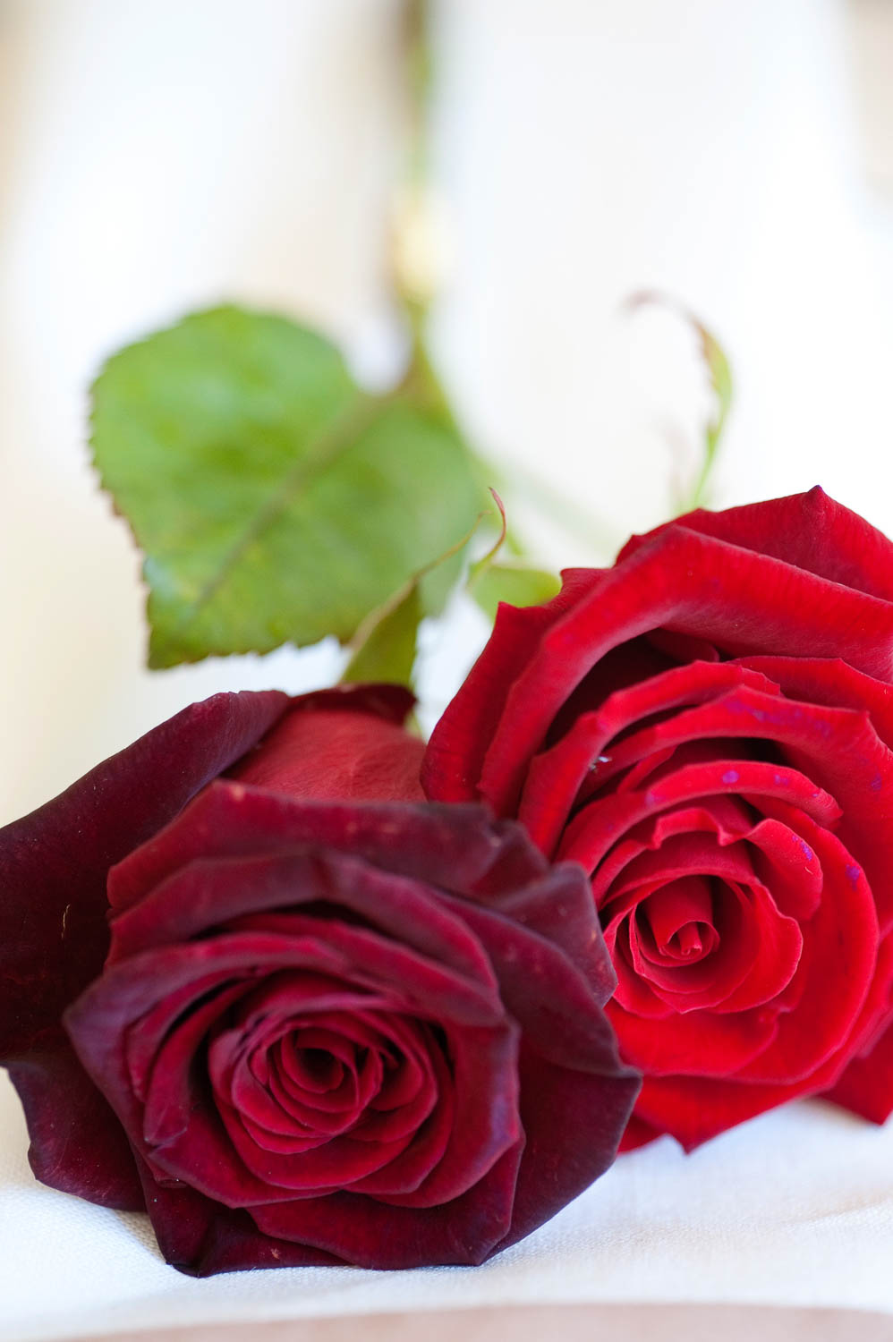 Paula Rooney Floral Design | Spotlight | The Royal Wedding | Prince Harry and Meghan Markle