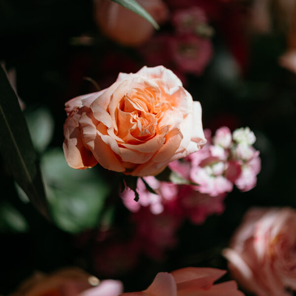 Jardines de Alfabia Wedding Mallorca Violeta Minnick Photography Orange Rose Flowers