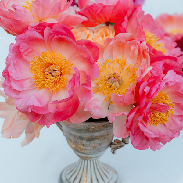 Jardines de Alfabia Wedding Mallorca Violeta Minnick Photography Flower Centrepiece Arrangement Pink