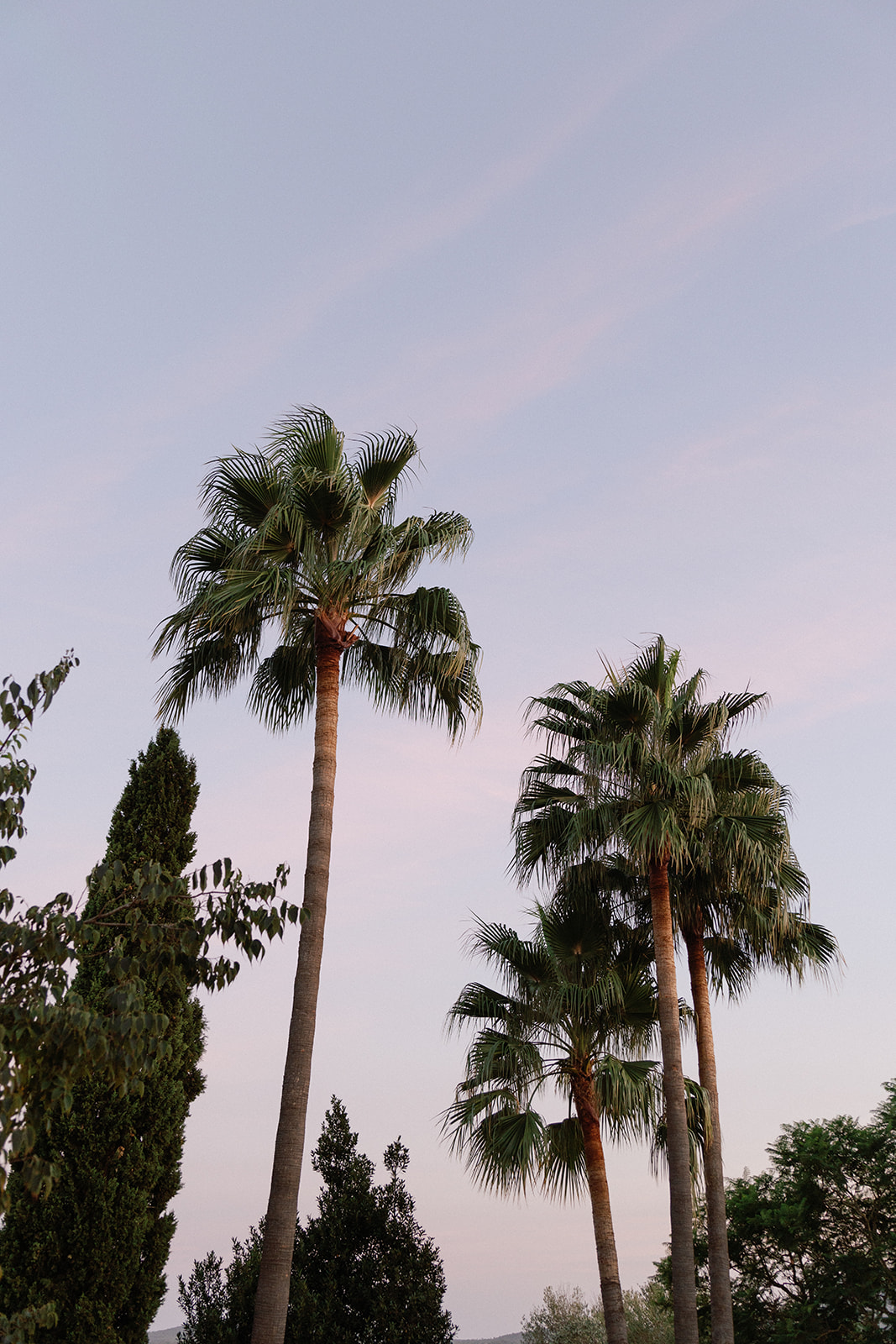 Finca Serena Mallorca Wedding Pablo Laguia